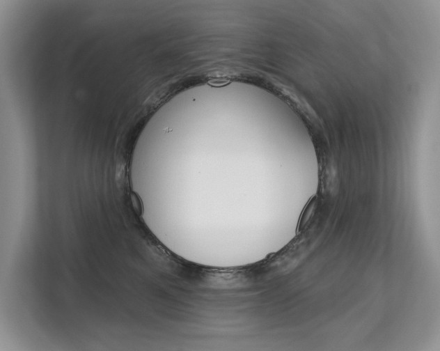 X0000111670521200907171447