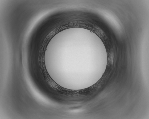X0000111670526200907171447