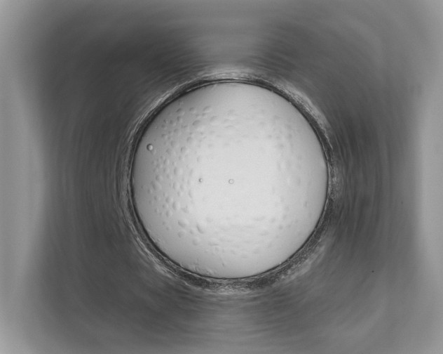 X0000111670529200907171446
