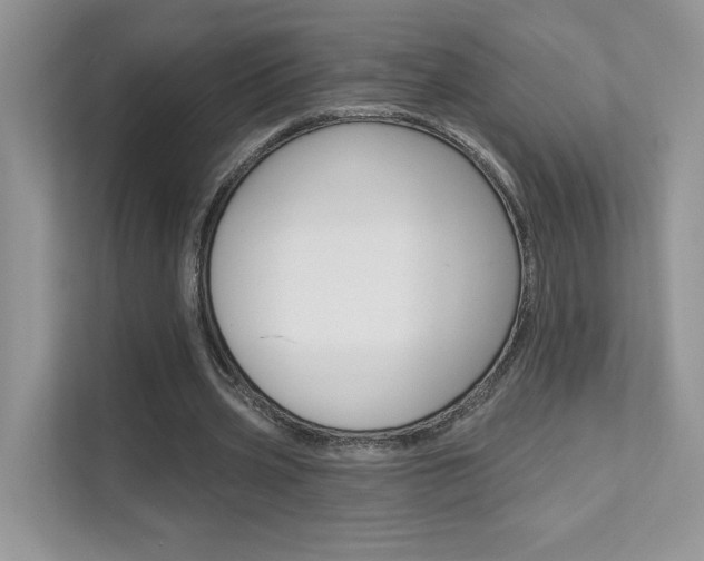 X0000111670533200907171446