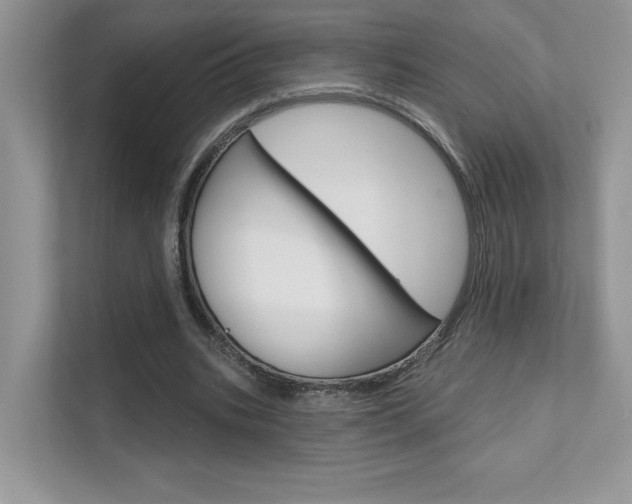 X0000111670535200907171446