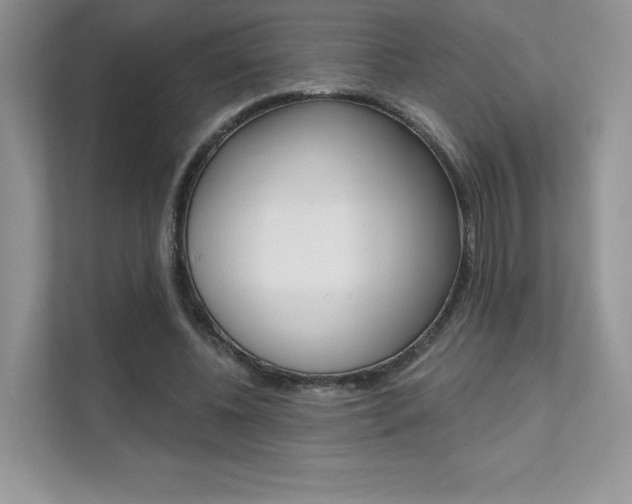 X0000111670540200907171446
