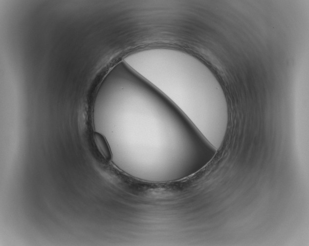 X0000111670544200907171446