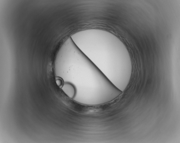 X0000111670555200907171446