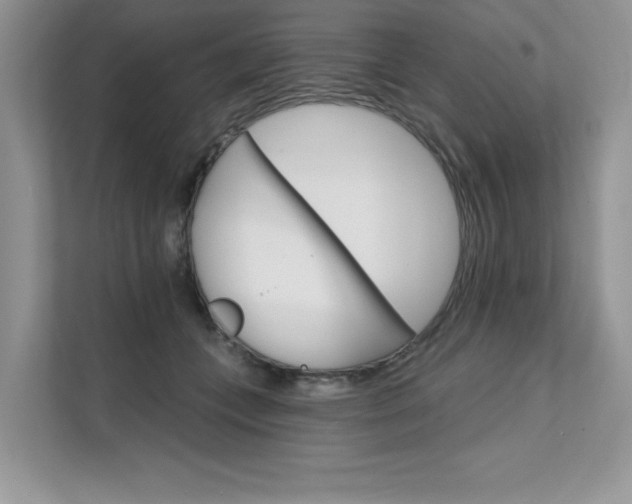 X0000111670559200907171446