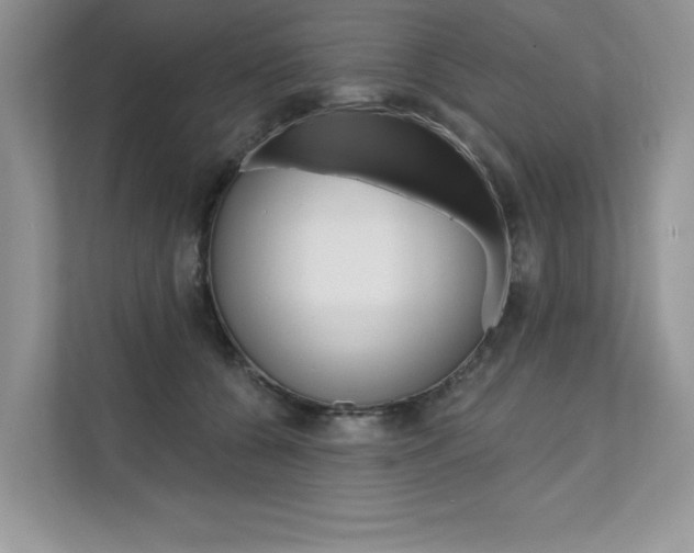 X0000111670560200907171446