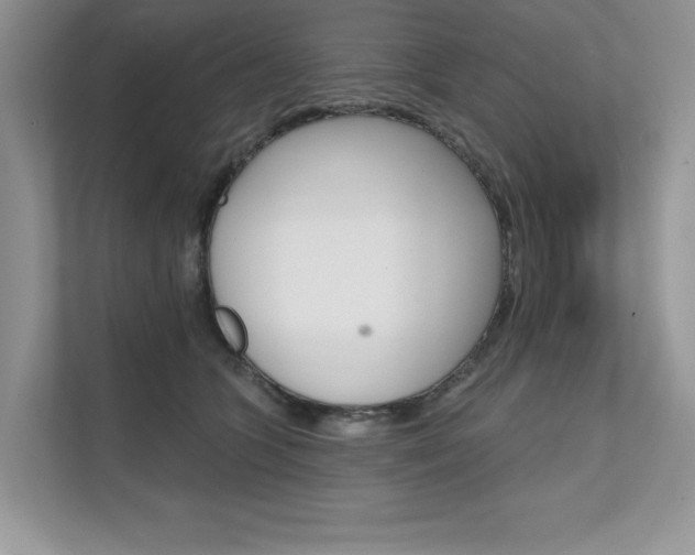 X0000111670563200907171446
