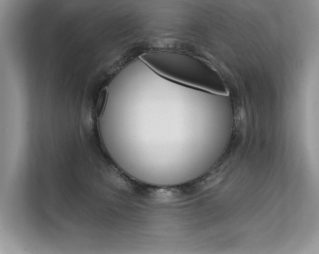 X0000111670566200907171447