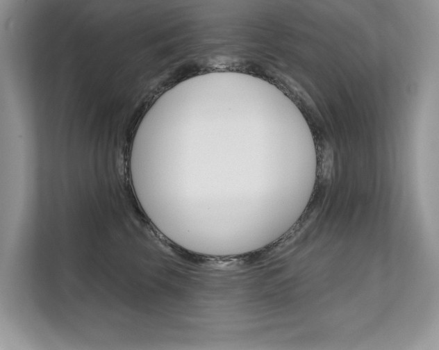 X0000111670569200907171447