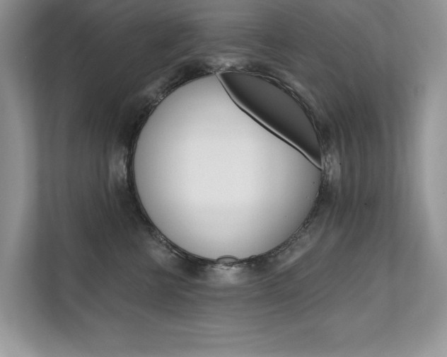 X0000111670570200907171447