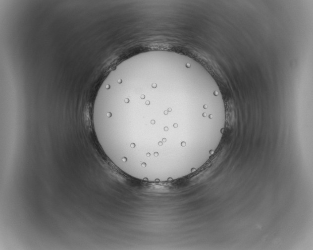 X0000111670573200907171447