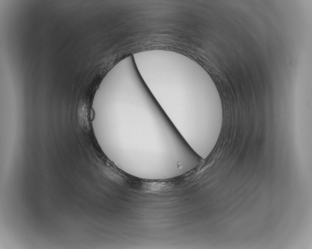 X0000111670575200907171447