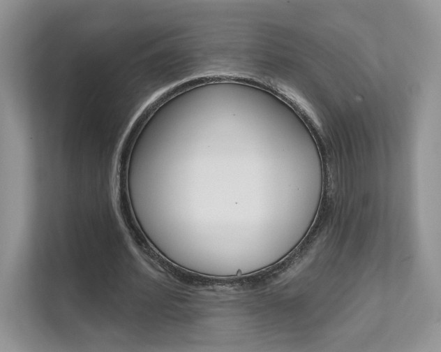 X0000111670580200907171446