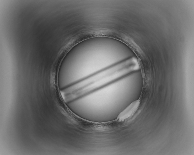 X0000111670585200907171446