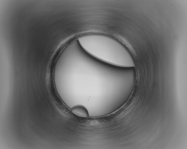 X0000111670588200907171446