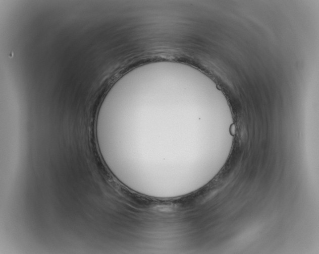 X0000111670595200907171446