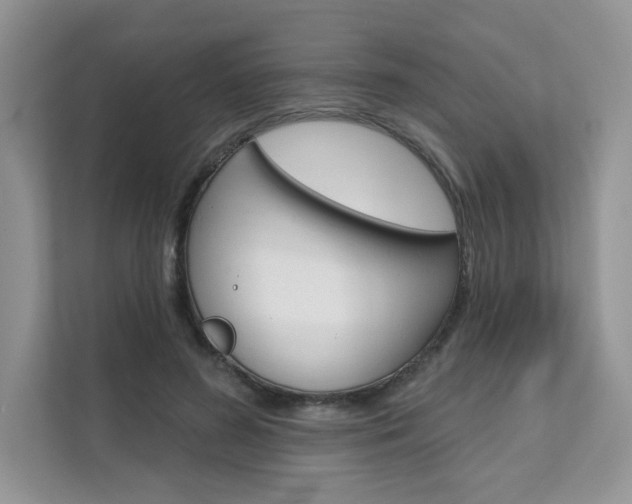 X0000111670596200907171446