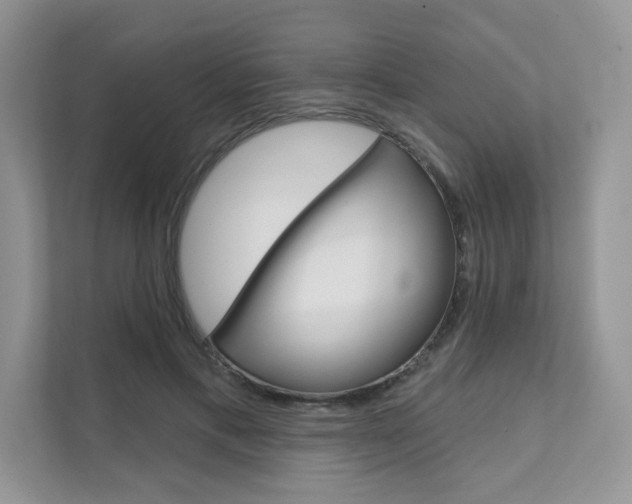 X0000111670597200907171446