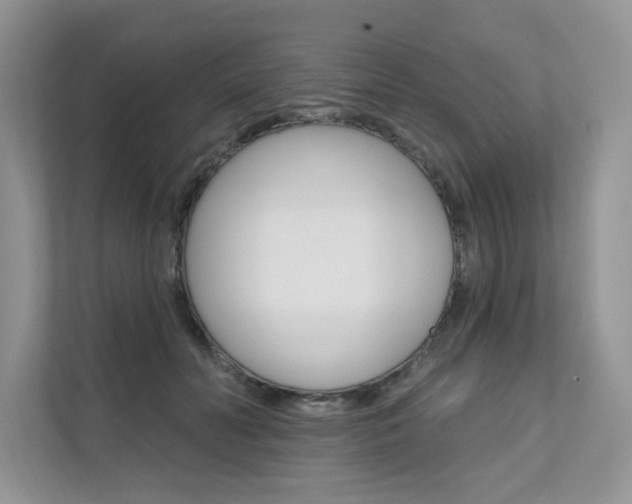 X0000111670606200907171446
