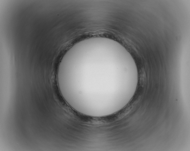 X0000111670608200907171446