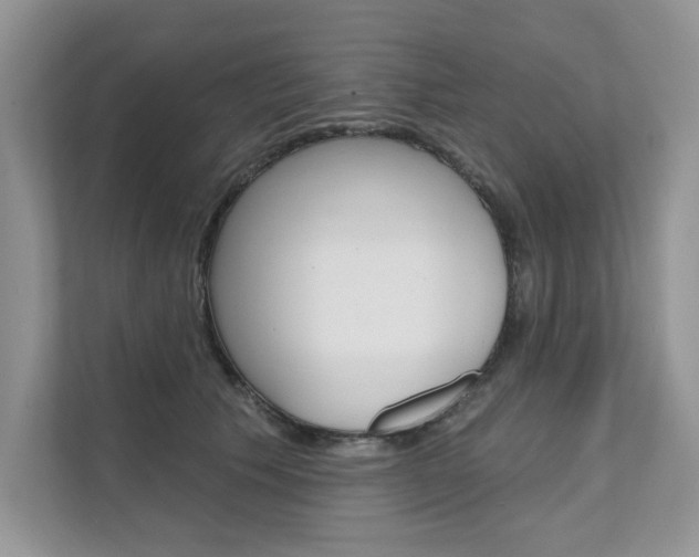 X0000111670609200907171446