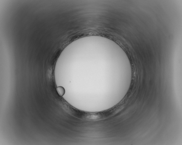 X0000111670610200907171446