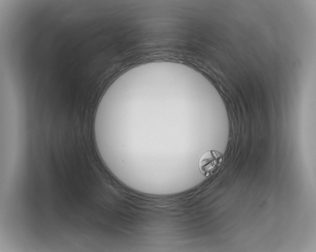 X0000111670611200907171446