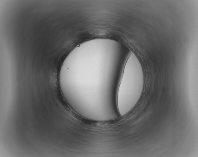 X0000111670612200907171446