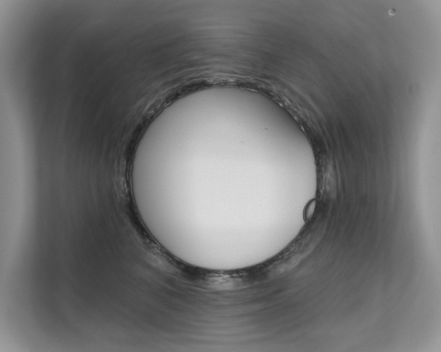 X0000111670616200907171446