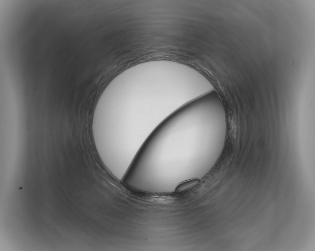 X0000111670617200907171445