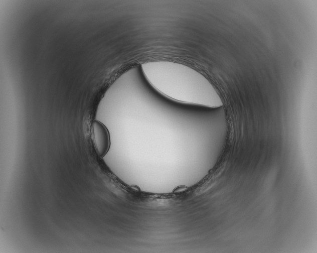 X0000111670620200907171445