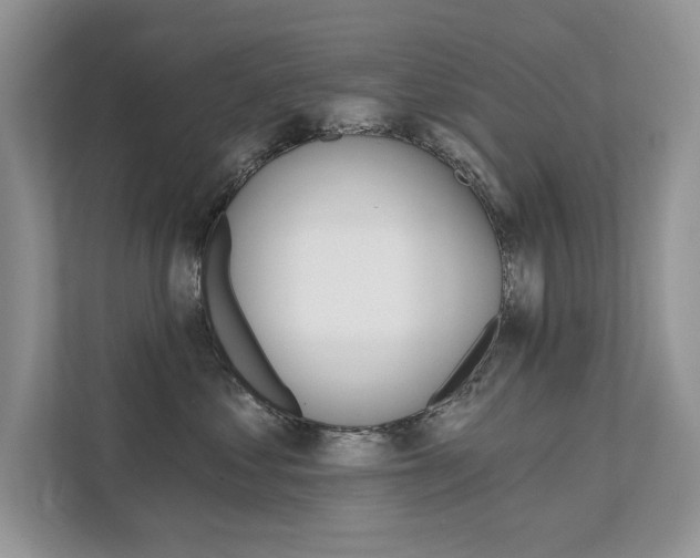 X0000111670621200907171445