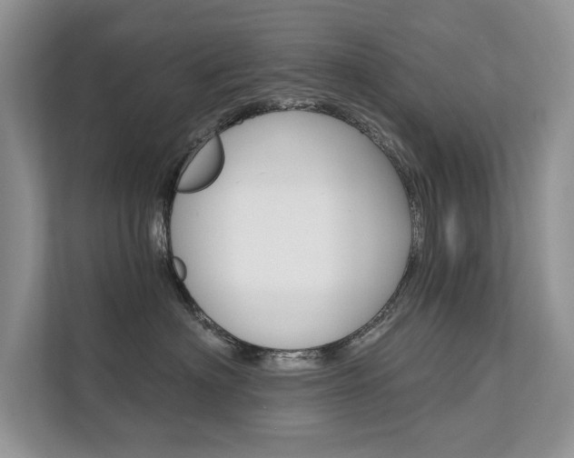 X0000111670622200907171445