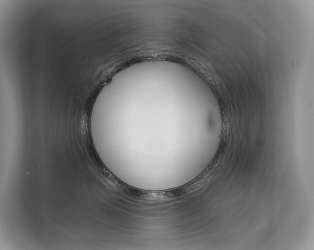 X0000111670623200907171445