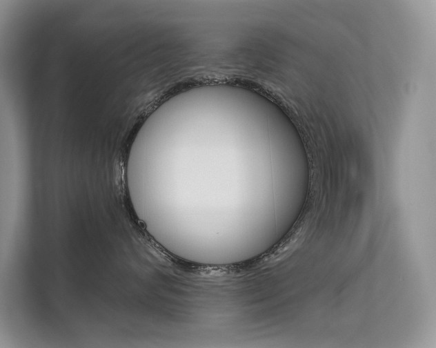 X0000111670624200907171445