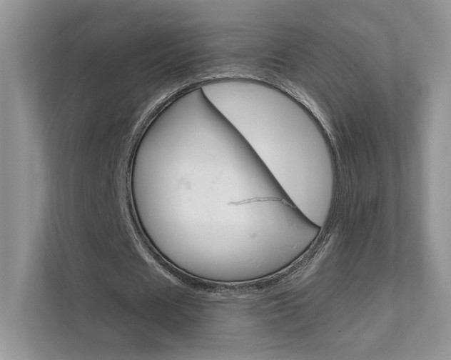 X0000111670625200907171445