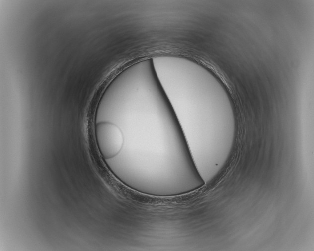 X0000111670626200907171445