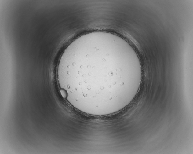 X0000111670635200907171445