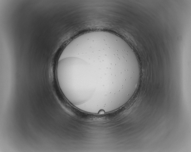 X0000111670638200907171445