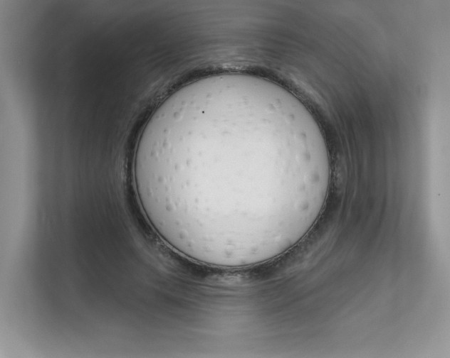 X0000111670639200907171445