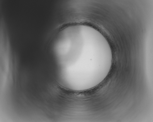 X0000111670640200907171445