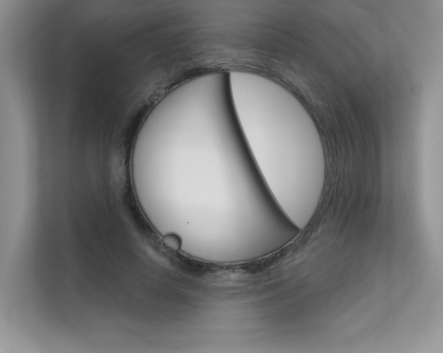 X0000111670642200907171445
