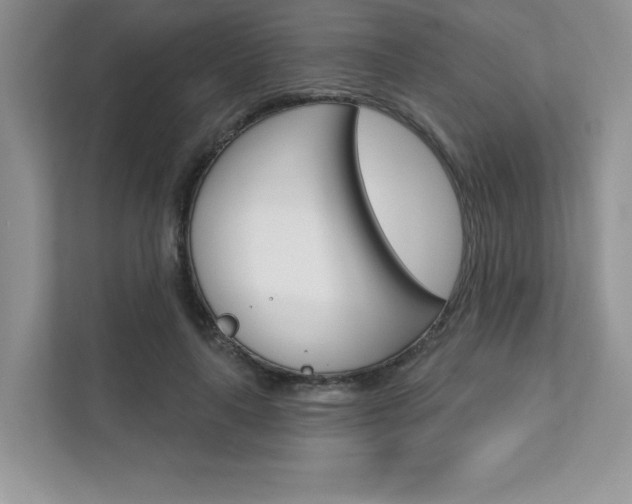 X0000111670643200907171445