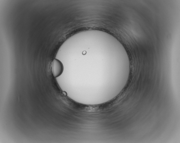 X0000111670660200907171445