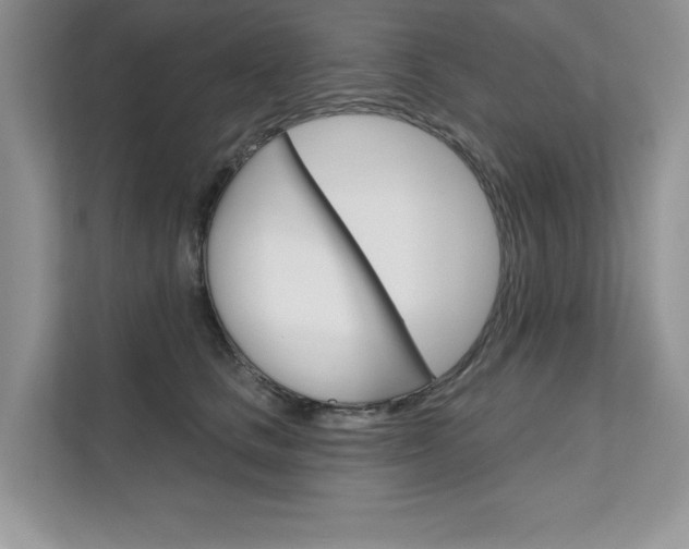 X0000111670661200907171445