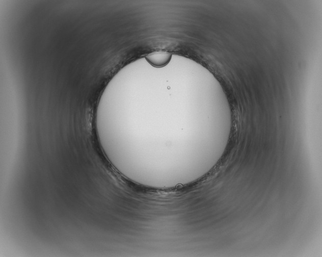 X0000111670664200907171445