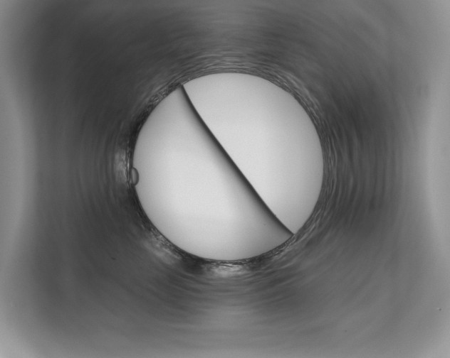 X0000111670669200907171445