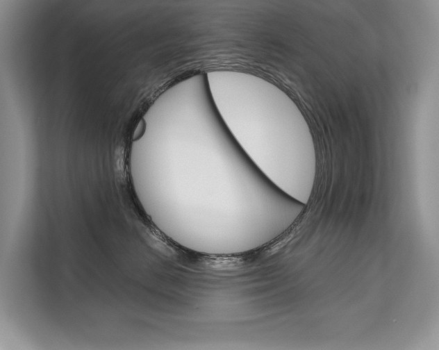 X0000111670670200907171445