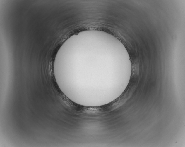X0000111670671200907171445