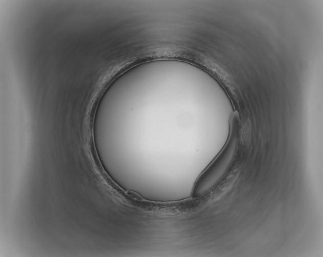 X0000111670673200907171445